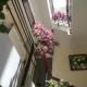 Pretty Backpackers House, Da Lat (zdjęcie 3)
