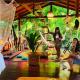CASA DA ARVORE, sonho na Amazônia, 2min a pé da praia, Alter do Chão - Foto 10
