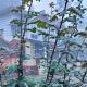 Balekhan Homestay - Heritage & Mountain View, チクマガルール - 写真 8