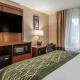 Comfort Inn & Suites Dimondale - Lansing, Dimondale (fotografie 9)