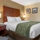 Comfort Inn & Suites Dimondale - Lansing, Dimondale (fotografie 10)