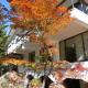 White Horse Hotel, Hakuba (fotografie 9)