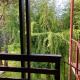 Green Apartment, Albavilla (Foto 5)