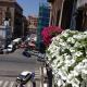 White, Palermo - Foto 3