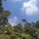 Maavaa Dreamland, Lansdowne - Foto 6