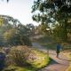 Discovery Parks - Jindabyne, Jindabyne (photo 8)