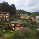 Big Tree House Lodge, Knysna - Fotografie 1