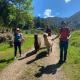 Alpacas Off Grid - Eco Cabin Takaka - Fotografie 9