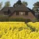 Zwischen den Feldern, Brebel - Photo 1
