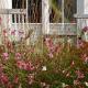 Ferienhaus Windrose, Breege - Foto 5