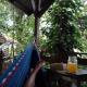 Jungle Paunch, Bocas del Toro - Photo 2