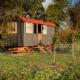 Wellbeing Orchard, Stamford (foto 10)