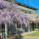 Bowral Escape, Burradoo (Foto 5)