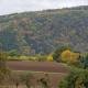 Wanderoase, Melsbach (фото 4)