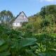 The Conscious Farmer Bed and Breakfast Sauerland, Willingen - Kuva 6