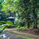 Ferntree Rainforest Lodge