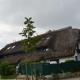 Grosses-Reethaus-Sanddorn, Groß Zicker - Kuva 2