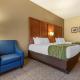 Comfort Inn & Suites Orangeburg - Fotografie 2