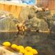 Kamo-gun - Hotel / Vacation STAY 41224, Okawa (photo 2)