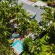 Hôtel Coco Island, サンジルレバン - 写真 7