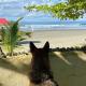 Pé na Areia - Casa para temporada, São Sebastião - Foto 6