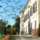 A Castle Stay in Wine Country, Rocca Grimalda (foto 6)