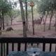 Coga Cottage - Marloth Park - Fotografie 3