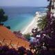 Guesthouse Seaview