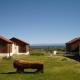 ESTANCIA LA SERENA, Perito Moreno