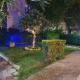 Laila home 4, Haifa (fotografie 2)