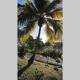 Charmant bungalow F3 sur la plage de petite anse, Bouillante - Foto 6