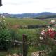Sitio Pinhal, Silveiras - Photo 6