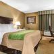 Comfort Inn Edison - New Brunswick, Edison (zdjęcie 4)