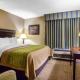 Comfort Inn Edison - New Brunswick, Edison (zdjęcie 7)