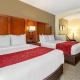 Comfort Suites Newark - Harrison, Newark (foto 8)