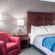 Comfort Inn University, Amherst - Fotografie 4