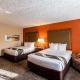 Comfort Inn & Suites Nashville Downtown - Stadium, Nashville (zdjęcie 4)