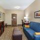 Comfort Suites Clarksville near Governors Square Mall - Foto 2