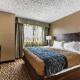 Comfort Inn & Suites Crystal Inn Sportsplex, Gulfport (fotografie 6)