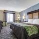 Comfort Inn & Suites El Paso I-10 Airport Area, El Paso (fotografie 3)