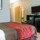 Comfort Inn & Suites Maumee - Toledo I80-90, Моми (фото 3)