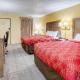 Econo Lodge, Lenoir City - Fotografie 2