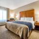 Comfort Inn & Suites, Cheyenne (photo 4)