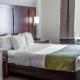 Comfort Suites, Castle Rock (fotografie 3)