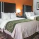 Comfort Inn Maumee - Perrysburg Area, Maumee (fotografie 4)