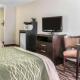 Comfort Inn Maumee - Perrysburg Area, Maumee (fotografie 5)