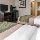 Comfort Inn Maumee - Perrysburg Area, Maumee (fotografie 7)