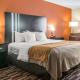 Comfort Inn Maumee - Perrysburg Area, Maumee (fotografie 9)