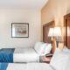 Comfort Inn & Suites Hamburg - Buffalo South, Hamburg (zdjęcie 2)