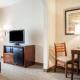 Comfort Inn & Suites Hamburg - Buffalo South, Hamburg (zdjęcie 5)
